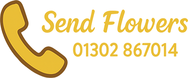 01302 867014