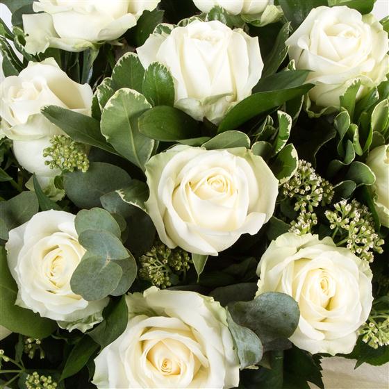 Dozen Long Stemmed White Roses Fiona's Flowers Florist New Rossingto