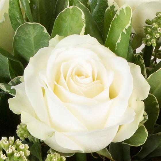 SIx Long Stemmed White Roses Fiona's Flowers Florist New Rossington